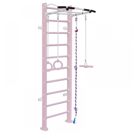 Детский спортивный комплекс ДСК Карусель Adler (пристеночный)